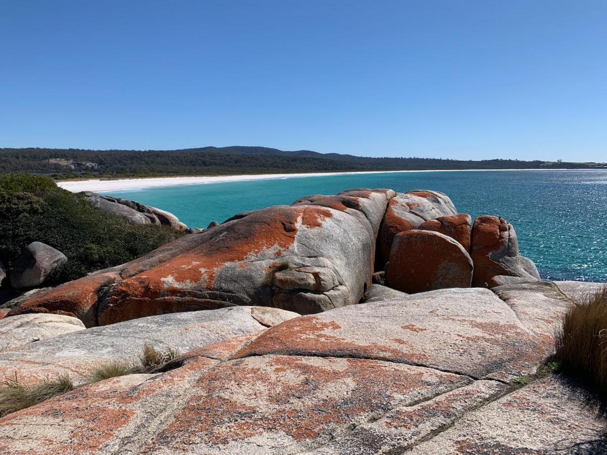 Bay Of Fires Great Escape Villa Binalong Bay Buitenkant foto