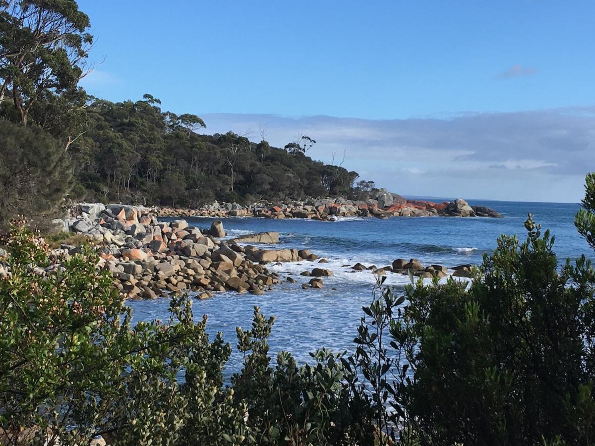 Bay Of Fires Great Escape Villa Binalong Bay Buitenkant foto